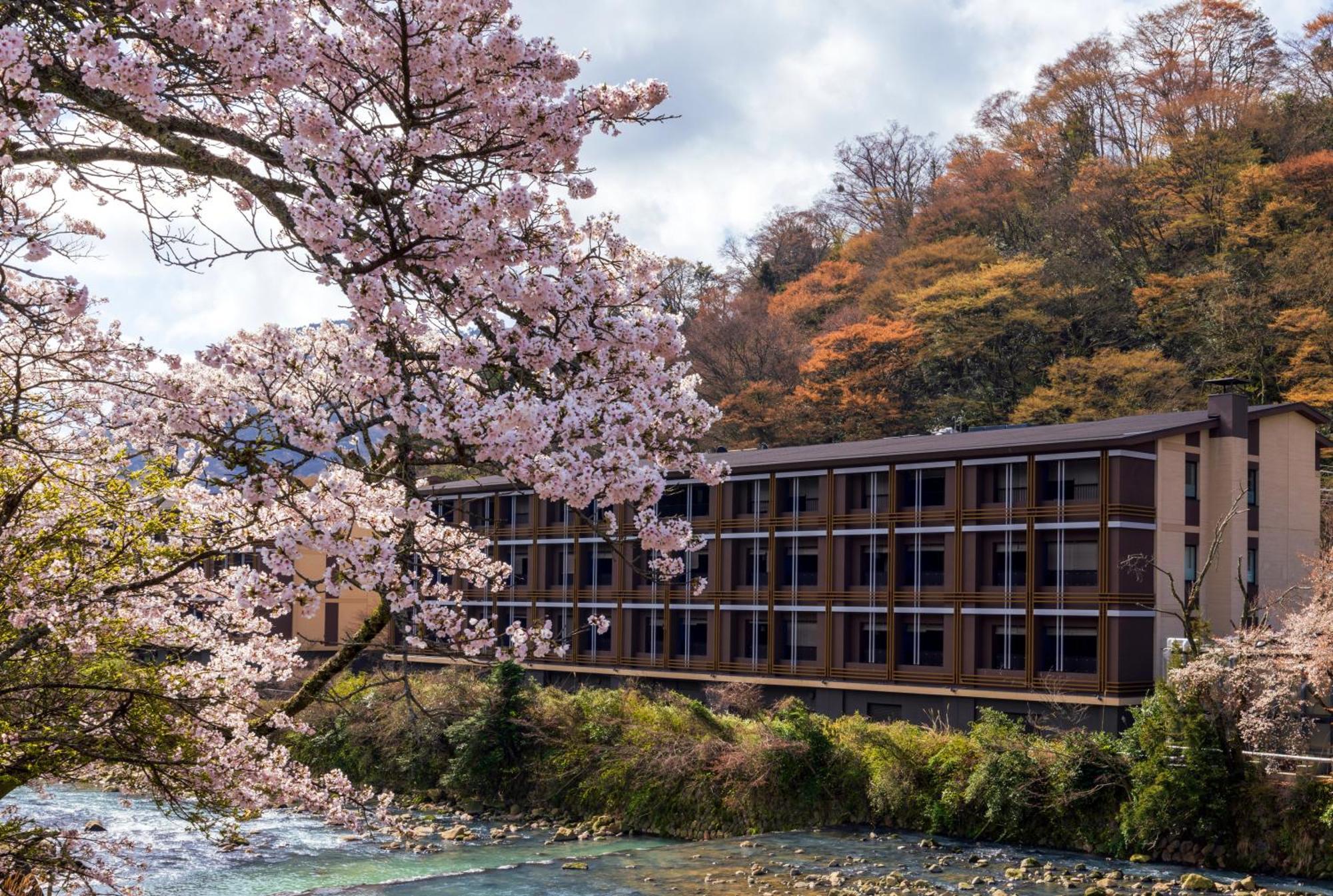 Hotel Indigo Hakone Gora By Ihg Екстериор снимка